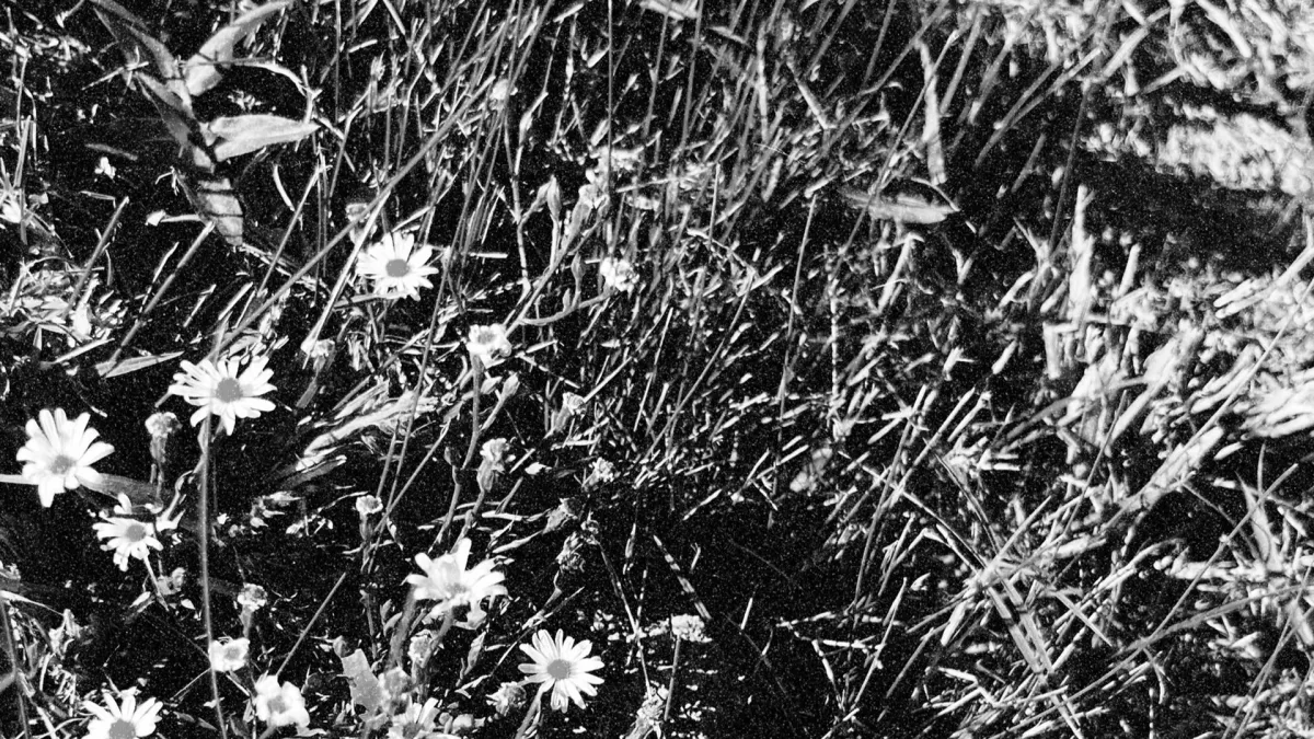 John Moreland in Evanston