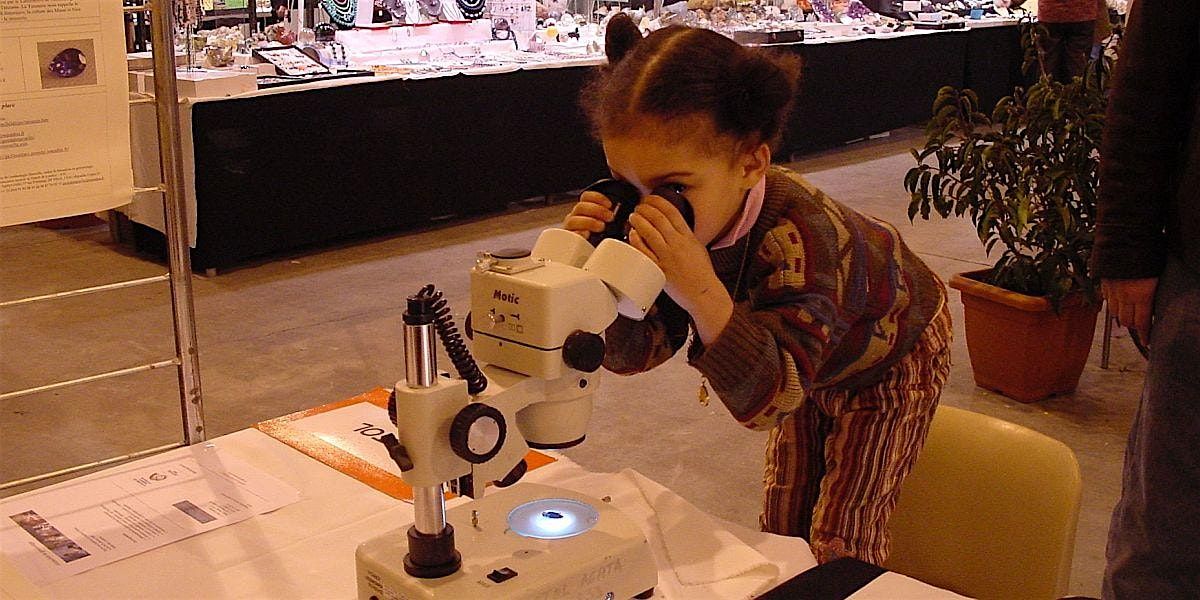 Gemmologue Junior Session 1