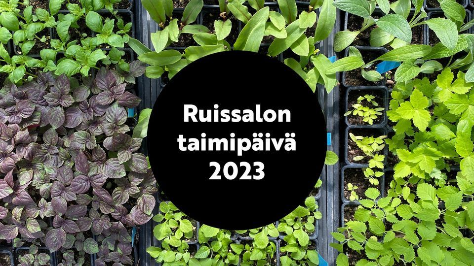 Ruissalon taimip\u00e4iv\u00e4 2023