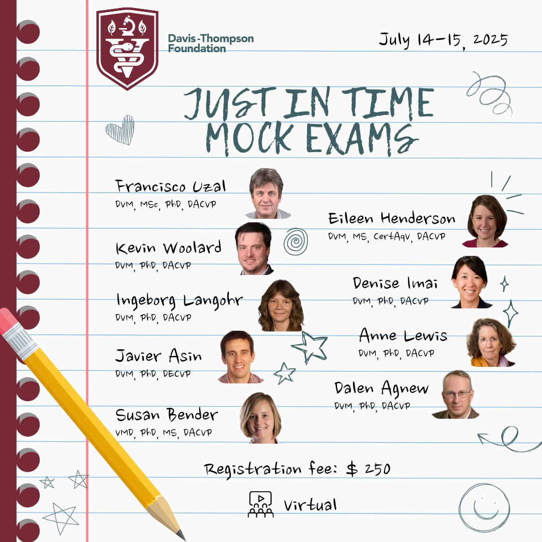 Just in Time at Circle in the Square