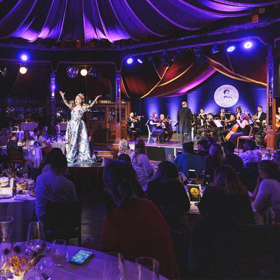 Strauss Dinner Show