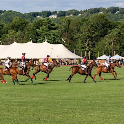 Farmington Polo Club