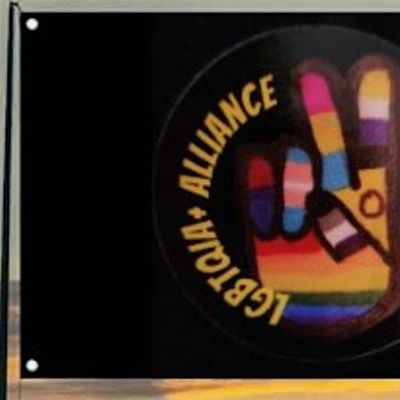 Lgbtqia+ Alliance Shenango Valley