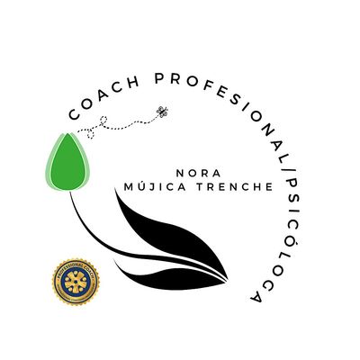 Nora M\u00fajica Trenche, Coach Profesional
