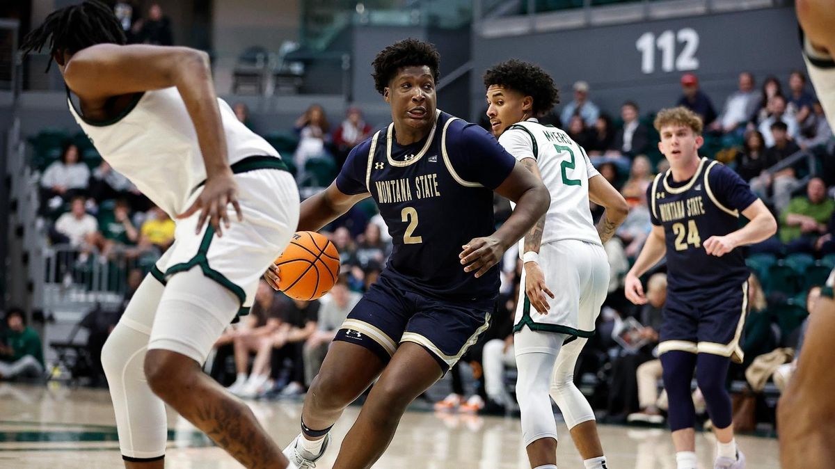 Parking Portland State Vikings at Montana State Bobcats Mens Basketball