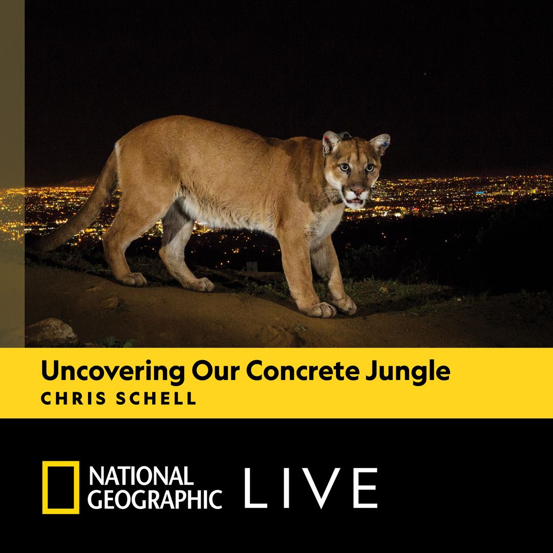 National Geographic Live: Uncovering Our Concrete Jungle with Chris Schell