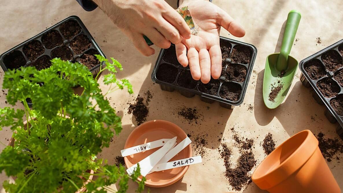 Getting Your Garden Ready for Next Season at Richmond Food Bank on 4th ...