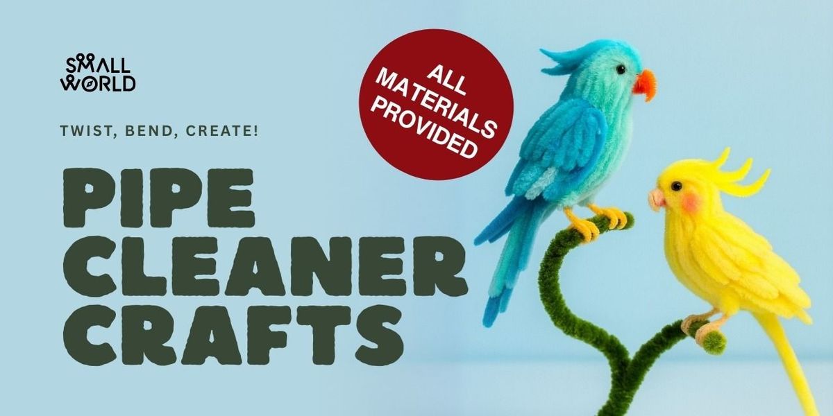 Pipe Cleaner Crafts