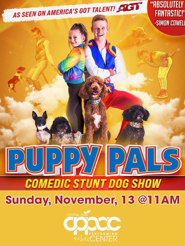 Puppy Pals Comedic Stunt Dog Show Central Park Performing Arts Center