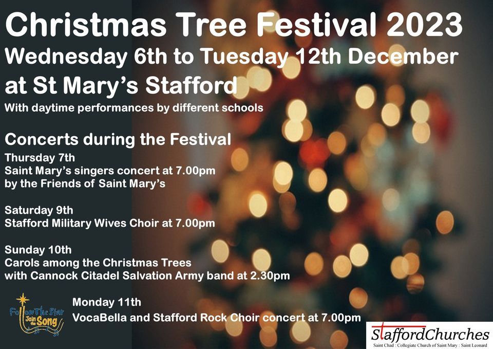 Saint Marys christmas Tree Festival 2023 | St Mary's Church, Stafford ...