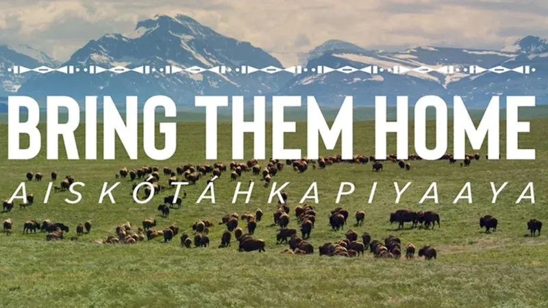 Bring Them Home (Environmental Documentary)