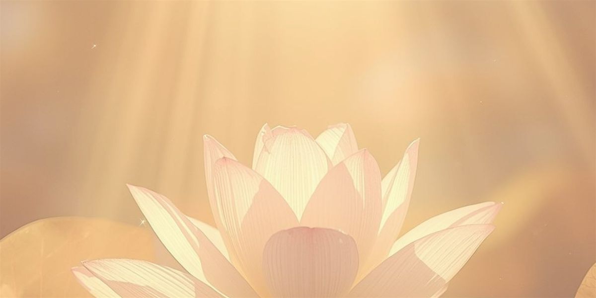 Sacred Woman Collective Retreat with Melissa Potter