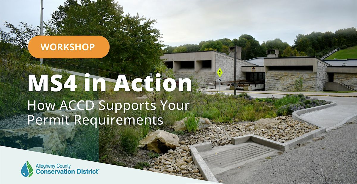 MS4 in Action: How ACCD Supports Your Permit Requirements