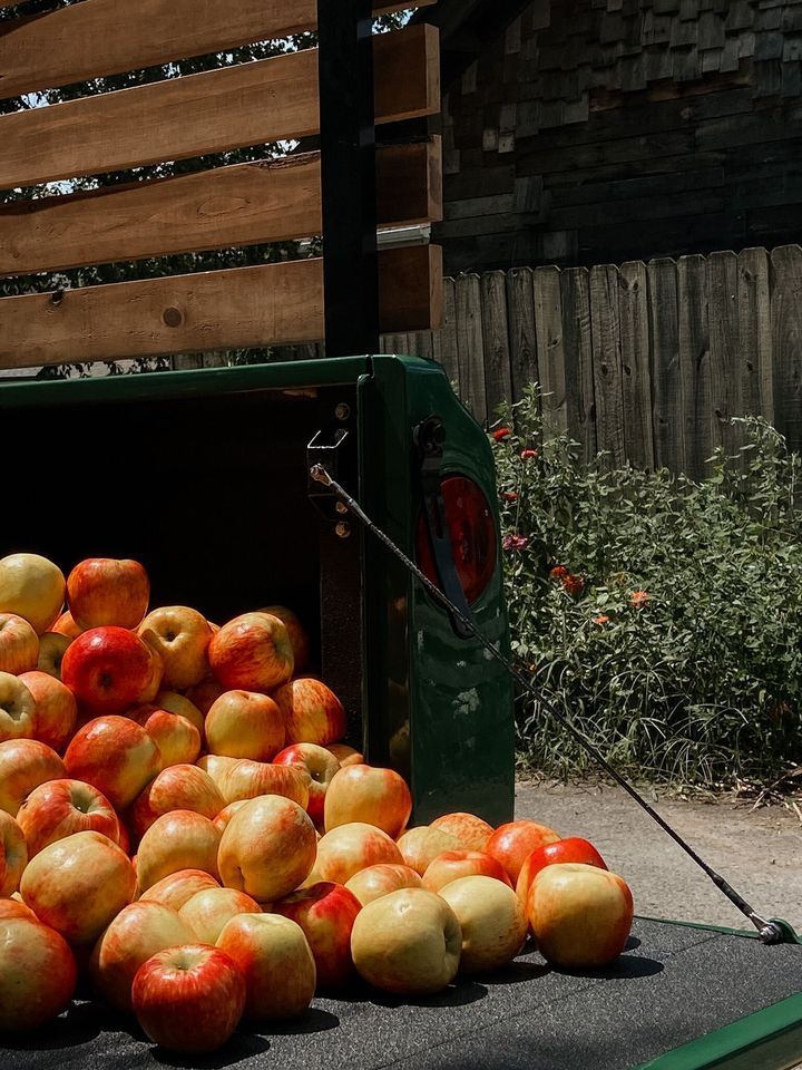 The Peach Truck Fall Tour: Fresh Apples
