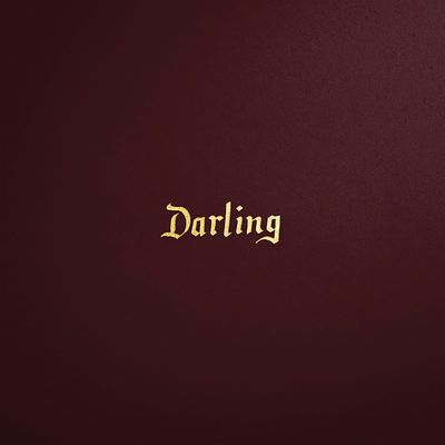 Darling On Drake