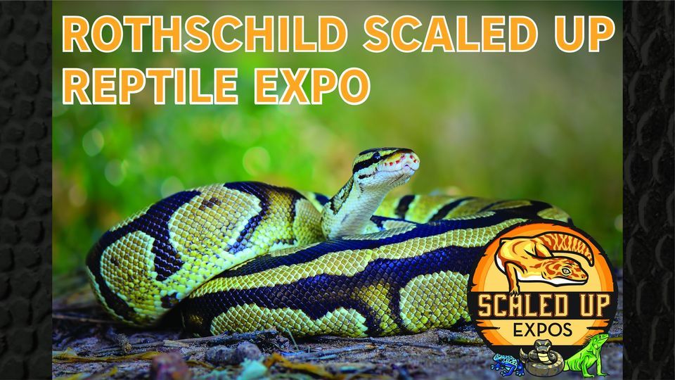 Rothschild Scaled Up Reptile Expo 652022 Central Wisconsin