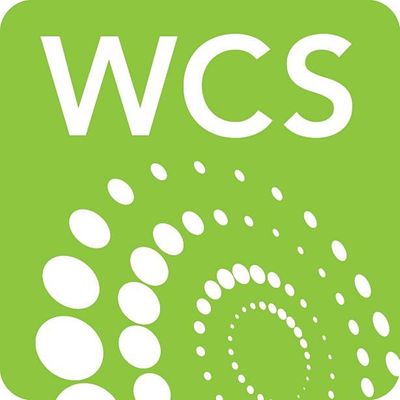 Women in Cleantech & Sustainability 