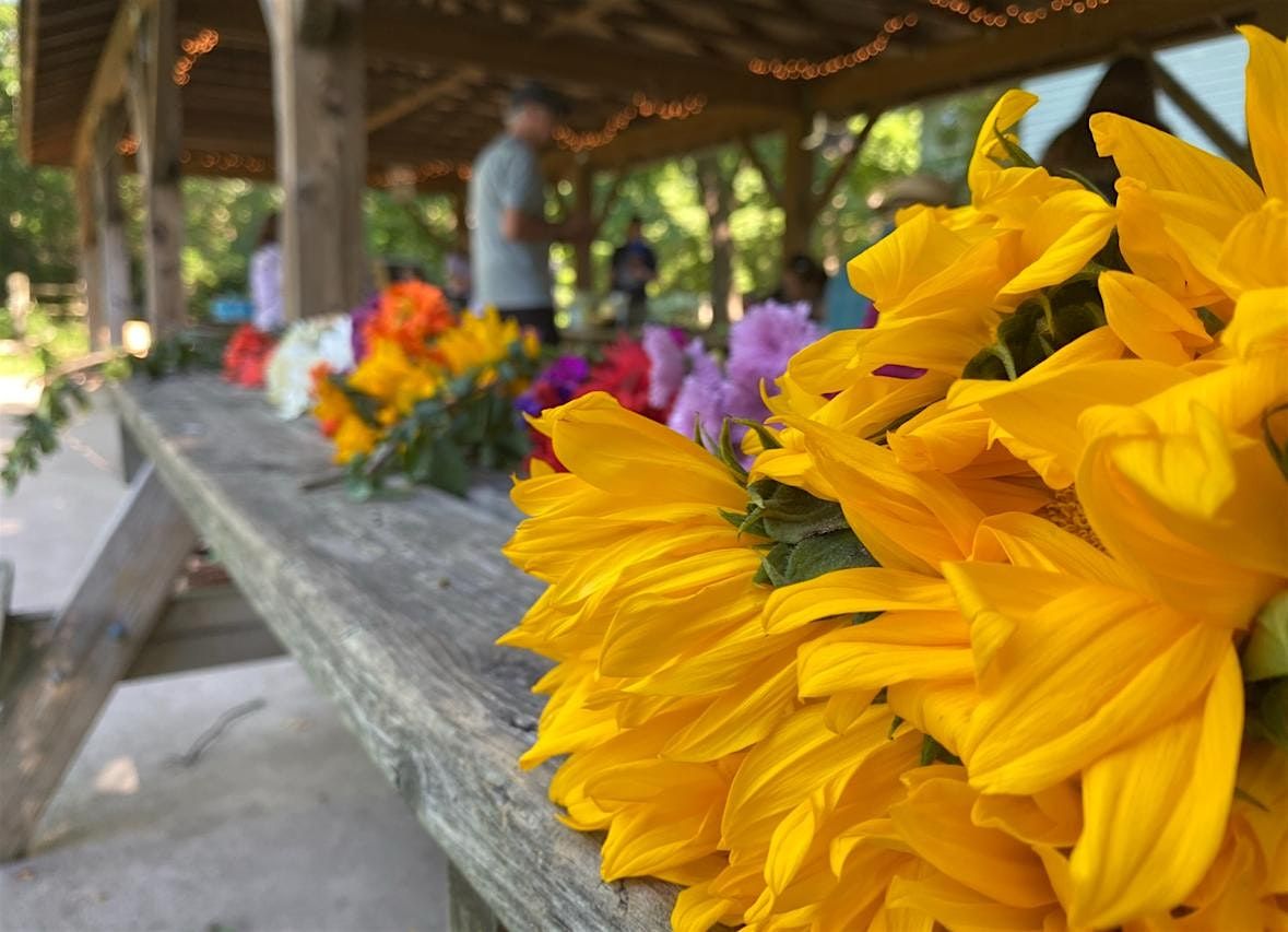 Walk for Mental Health - The Wander Embodiment Sensory Experience