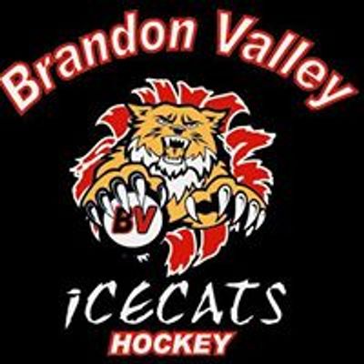 Brandon Valley Hockey Association