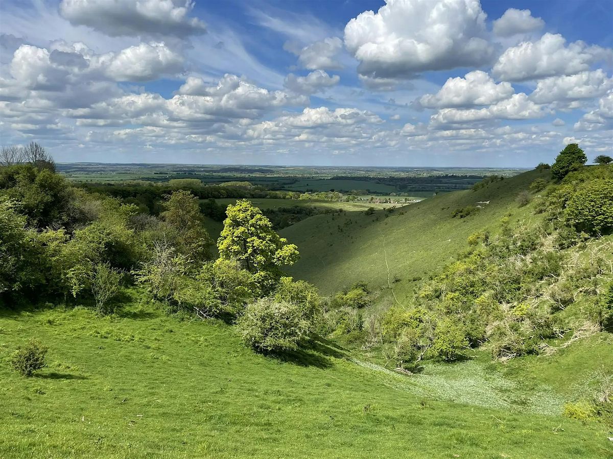 Hertfordshire Hills & Ancient Villages Hike: Hitchin, Pegsdon & Pirton
