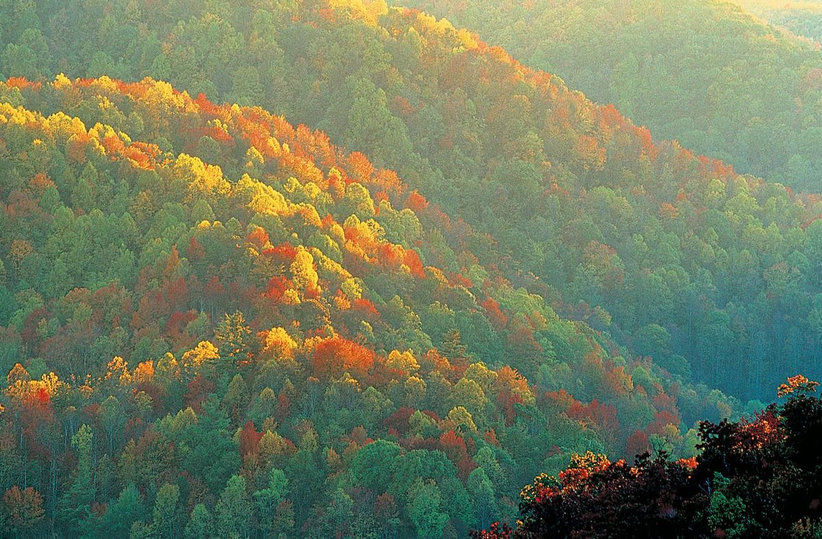 Dolly Partons Smoky Mountain Christmas Carol - Saginaw