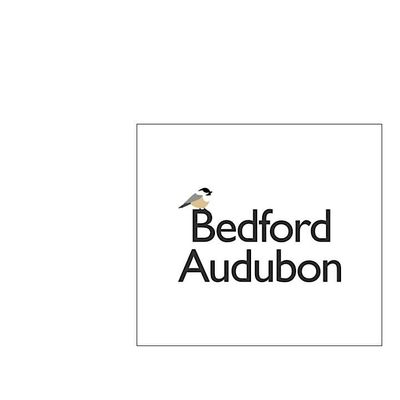 Bedford Audubon