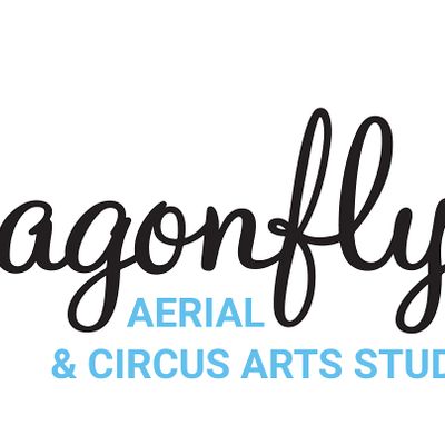 Dragonfly Aerial & Circus Arts Studio