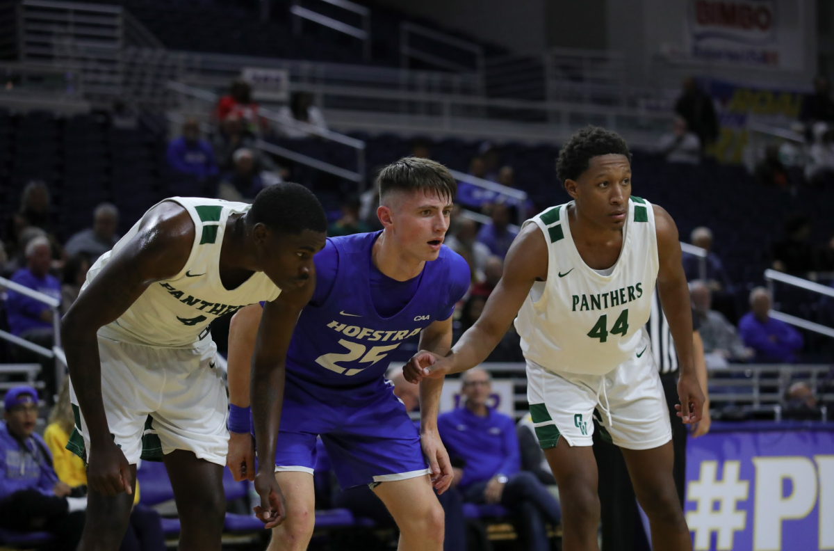 Parking Hofstra Pride at William & Mary Tribe Mens Basketball