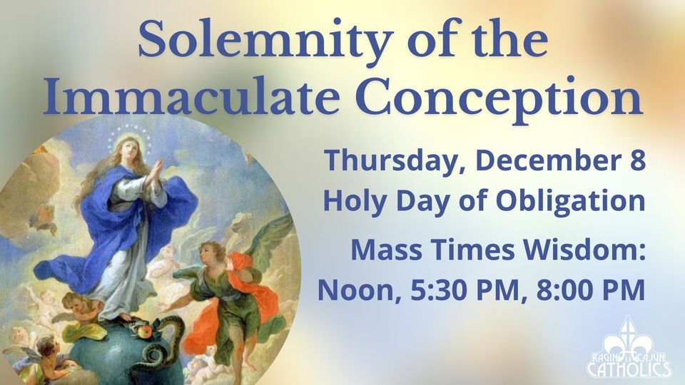 Solemnity Of The Immaculate Conception | Our Lady Of Wisdom Church ...