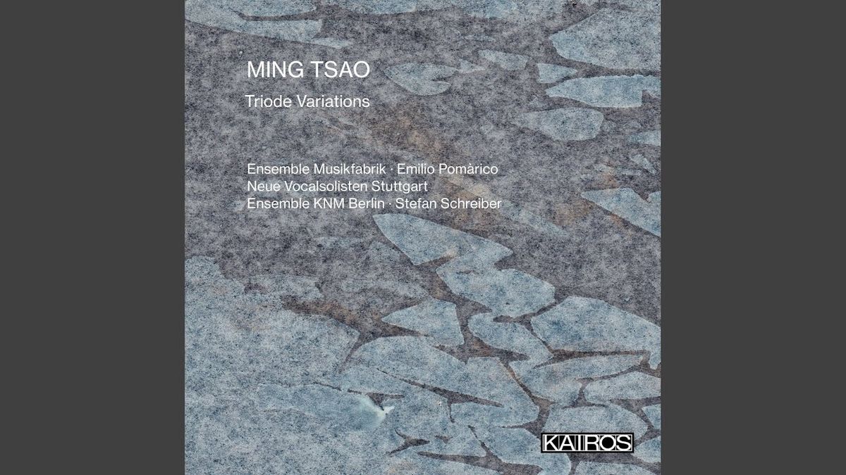 Neue Vocalsolisten Stuttgart