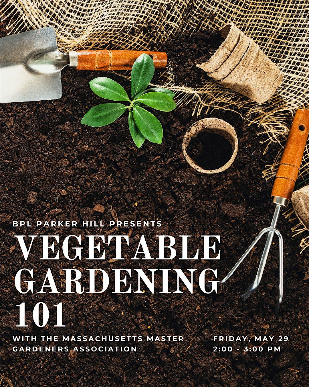 Vegetable Gardening 101