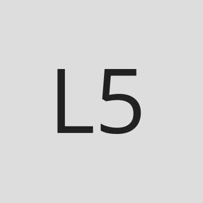 Local 500
