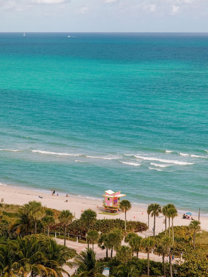 Beach Cleanup I Eden Roc x Clean Miami Beach Eden Roc Miami Beach