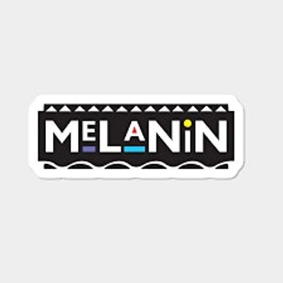 Melanin in the City, LLC