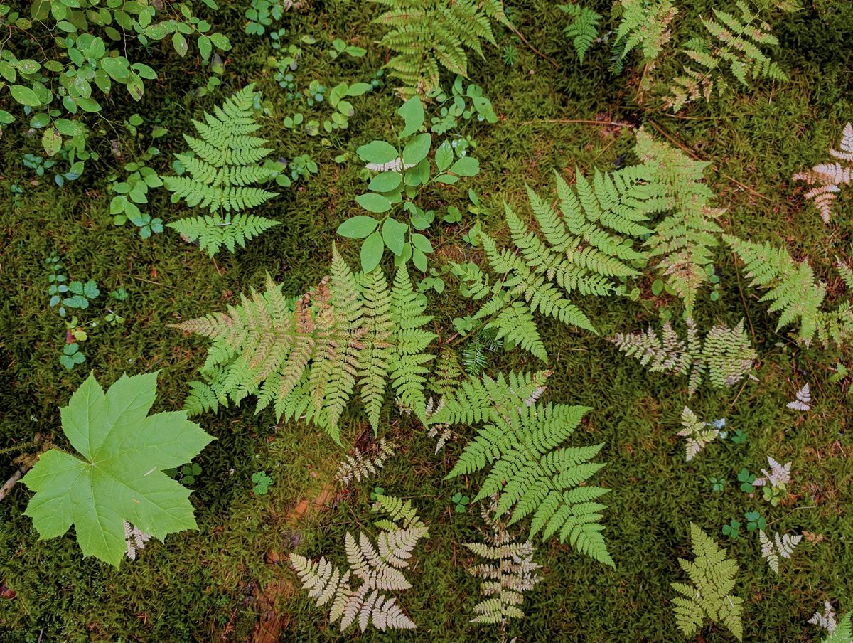 Women's Nature Circle