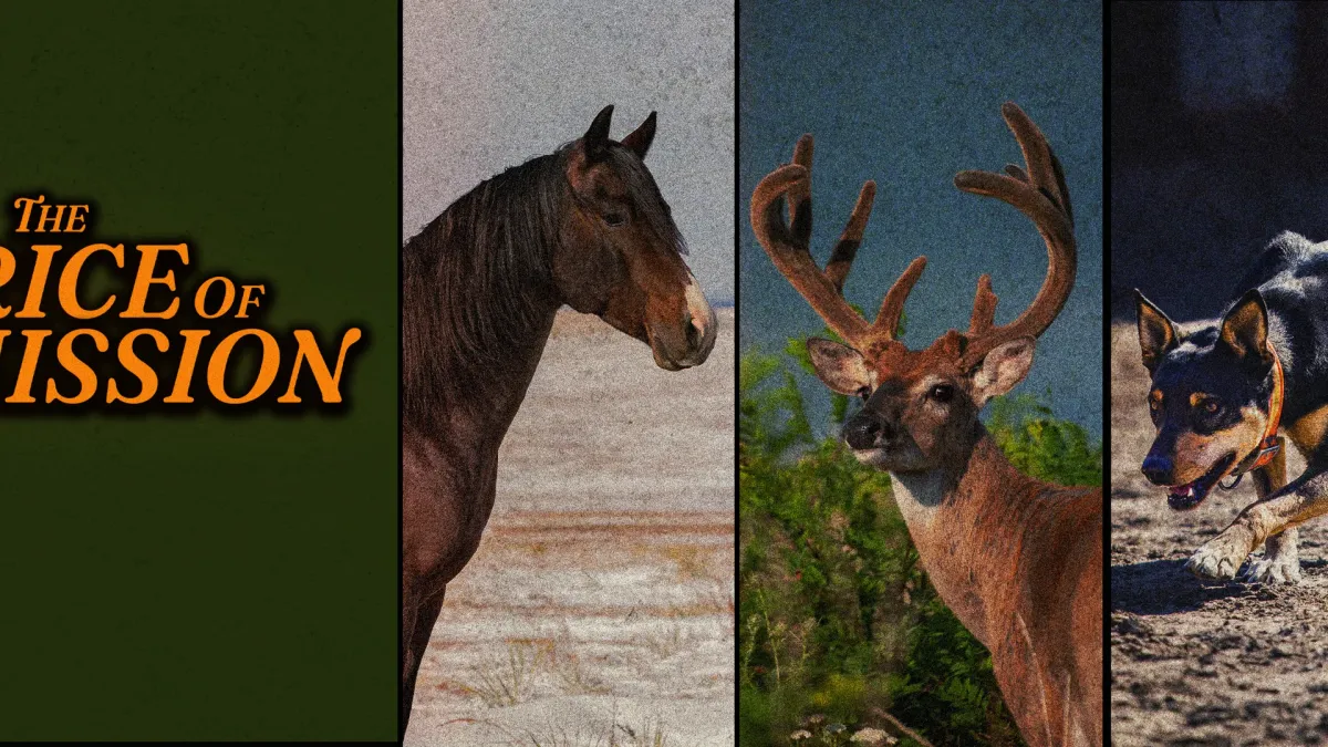 Turnpike Troubadours, Robert Earl Keen in Uncasville