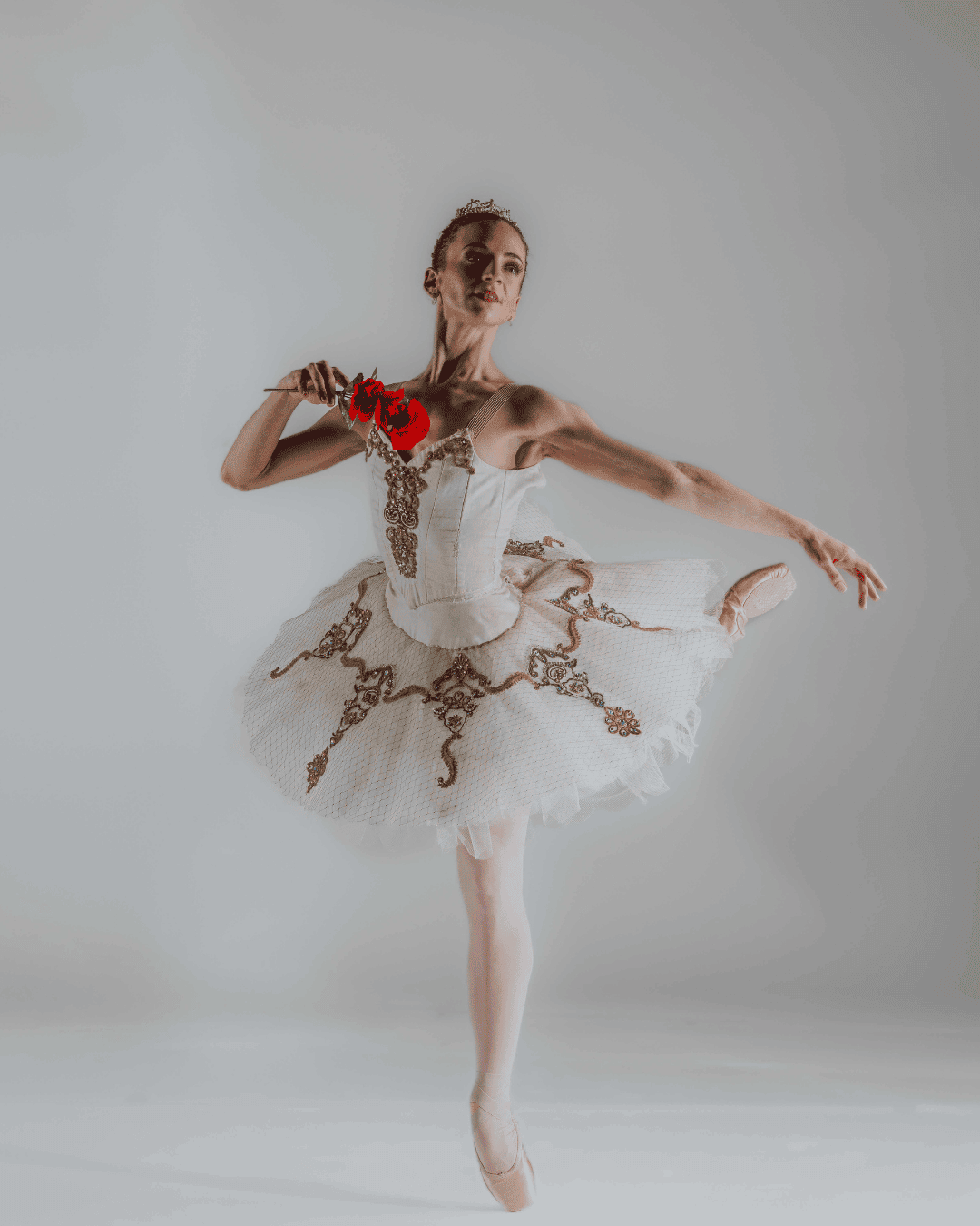 Alabama Ballet - Sleeping Beauty at BJCC Concert Hall