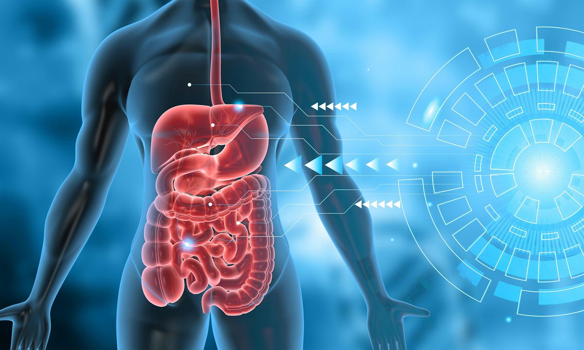 Clinical Strategies for Weight Management, Detoxification & Cardiometabolic