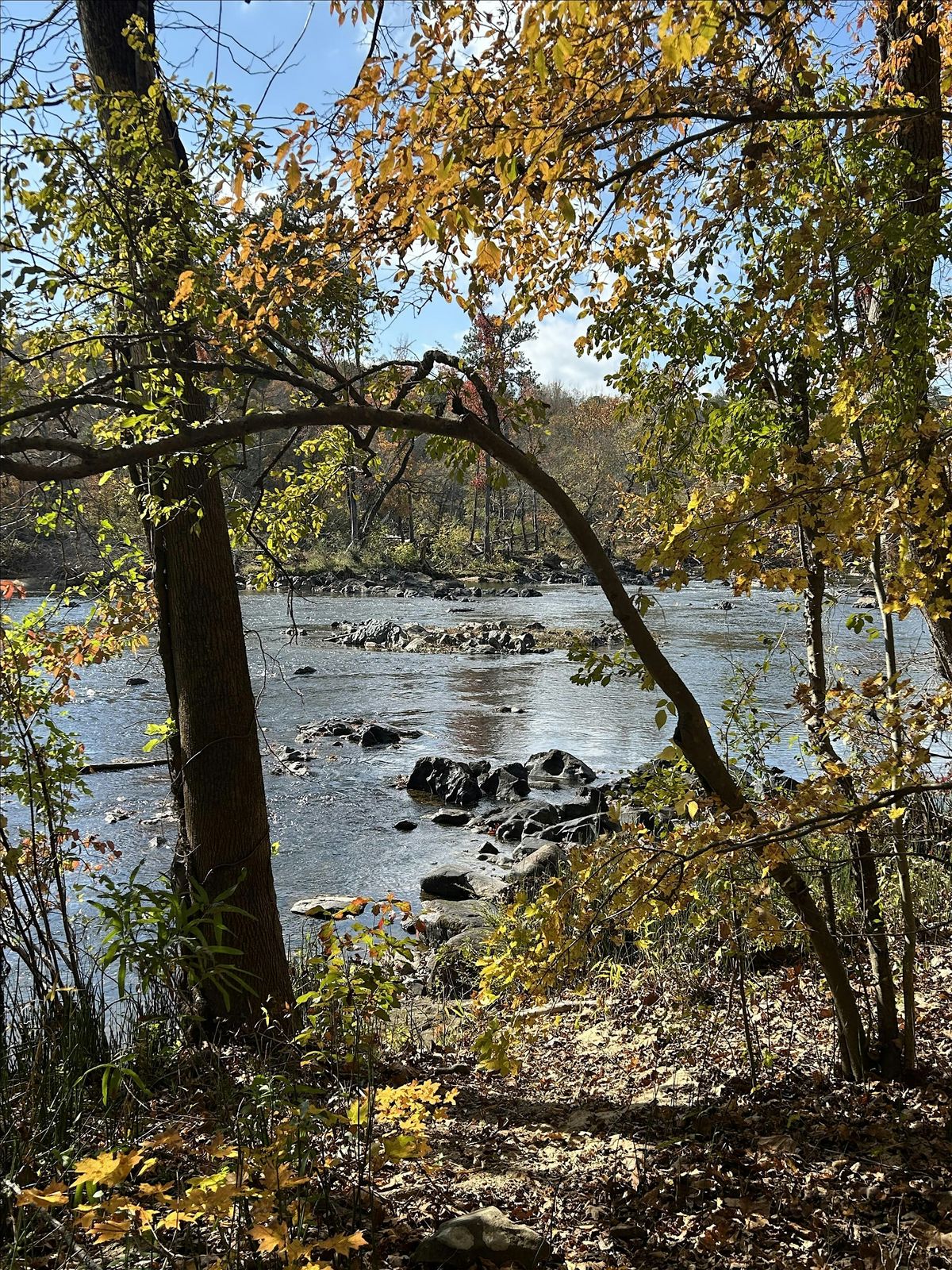 Eco-Connection: Reflection at Lower Haw River State Natural Area ...