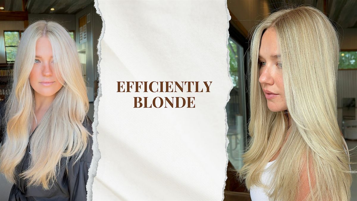 Efficiently Blonde- High impact blonde education