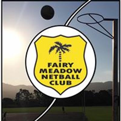 Fairy Meadow Netball