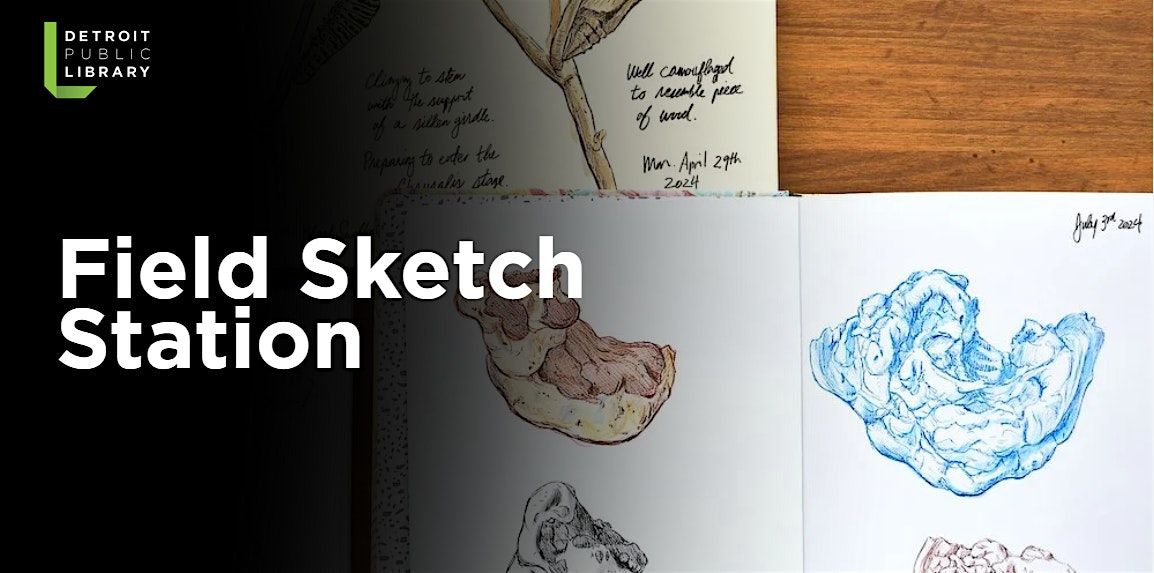 Field Sketch Station