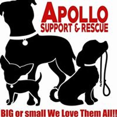 Apollo Support & Rescue for Abandoned Dogs