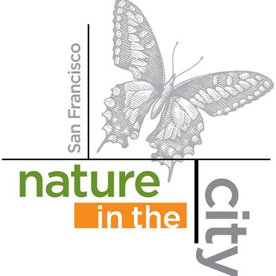 Nature in the City