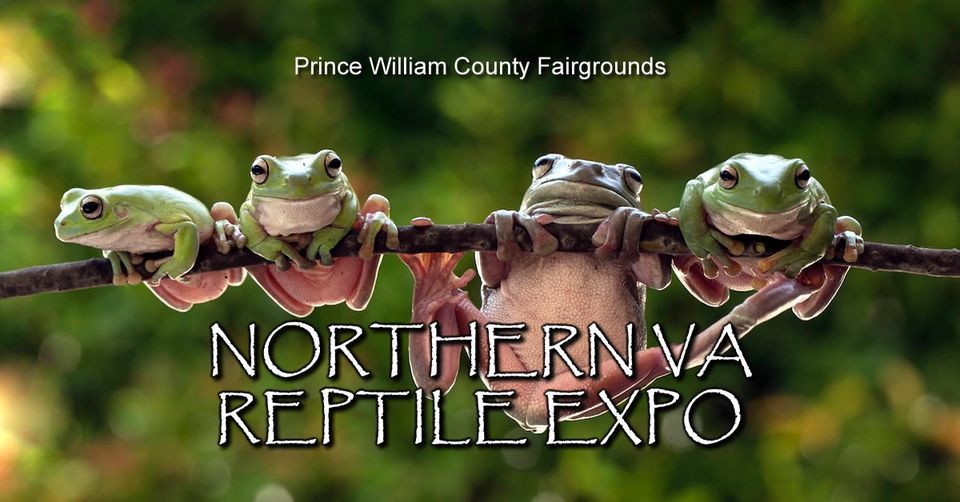 Reptile Expo Virginia 2023