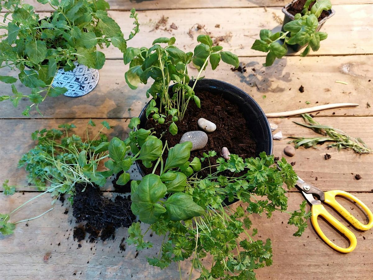 Herbs & Vegetables Workshop