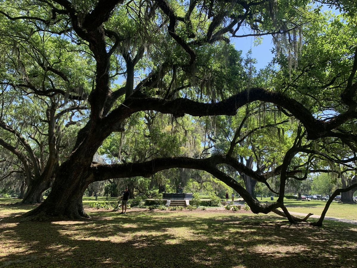 Introduction to Mindfulness Meditation - Plaza Midwood