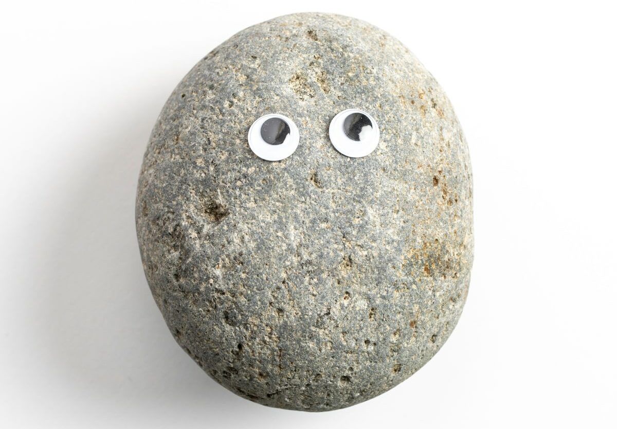Pet Rock