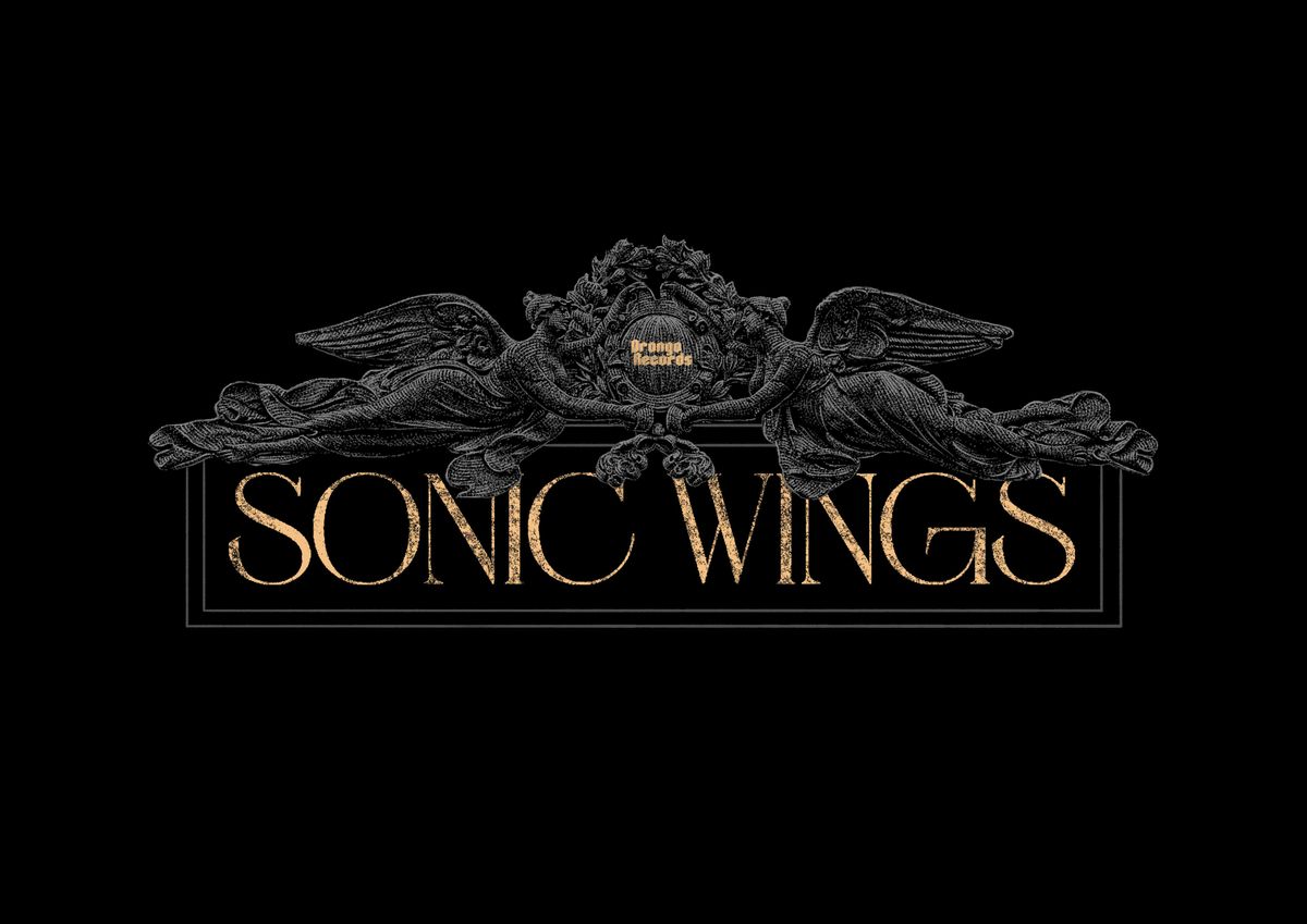 Sonic Wings Festival 2026