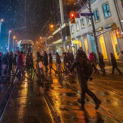 Toronto Population Network